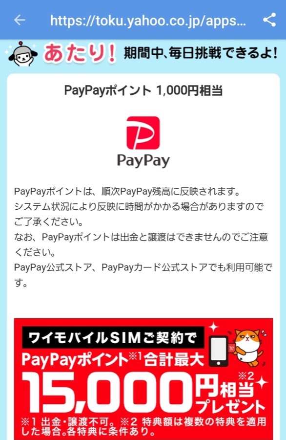 クジで当たりました | ginecosofia.com